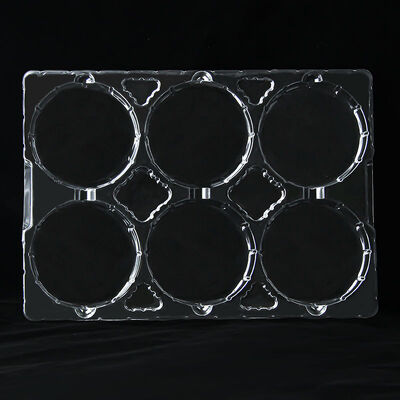 6-cell Rectangular Transparent PET Anti-static Tray Automotive Parts Blister Packaging