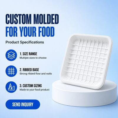 Disposable PET Fresh Food Tray Thickened Thermoformed Blister Box for Fruit Meat Vegetable Supermarket Pet Container for Food