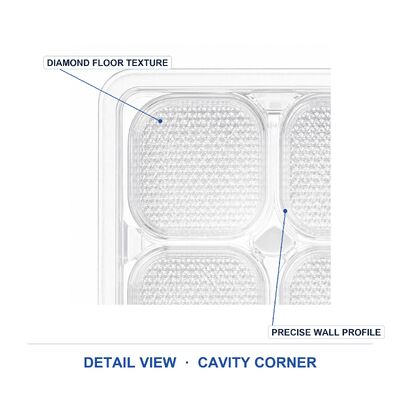 Transparent Blister Packaging Box for Chocolate Pastry With Plastic Inner Tray Food Container Custom Pet Container for Food