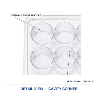 Custom Blister Packaging Plastic Box With PET Liner for Hardware Transparent Tray Manufacturer Wholesale