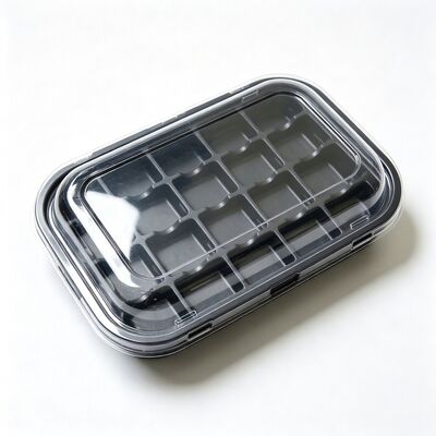 Food Grade PET Multi Compartment Blister Box With Lid Custom Size Thickness Food Divider Plastic Packaging Container