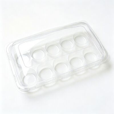 Factory Custom Food Grade Clear Blister Box With Lid Multi Compartment for Fresh Snack Food Storage Packing
