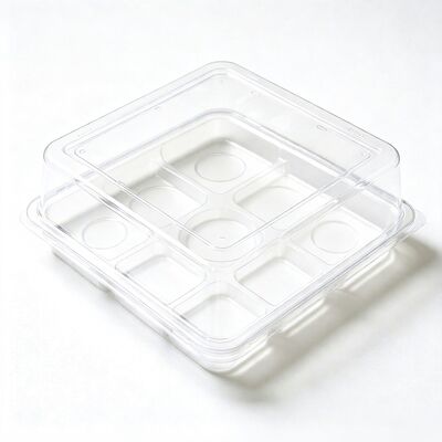 Factory Custom Food Grade Clear Blister Box With Lid Multi Compartment for Fresh Snack Food Storage Packing