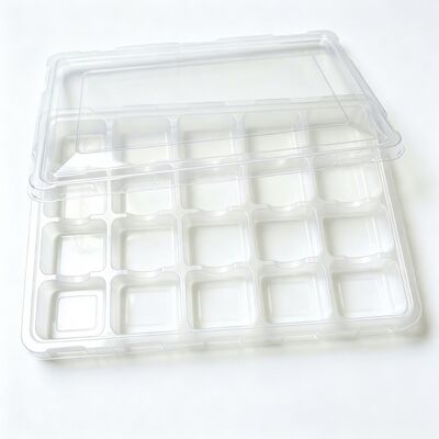 Factory Custom Food Grade Clear Blister Box With Lid Multi Compartment for Fresh Snack Food Storage Packing