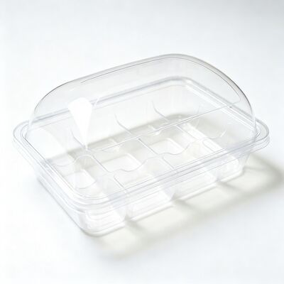 Customizable Clear Food Blister Box Multi Compartment With Lid for Snack Nut Pastry Outer Packaging Container