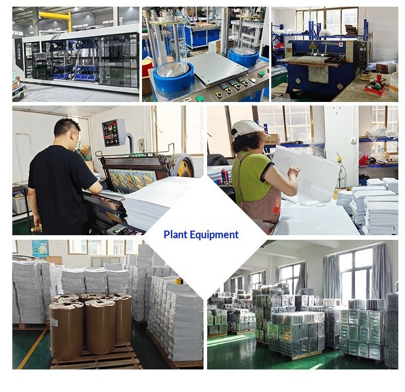 PET Transparent Anti-Static Rectangle Blister Tray Custom Conductive Plastic Vacuum Forming PCB Packaging Tray
