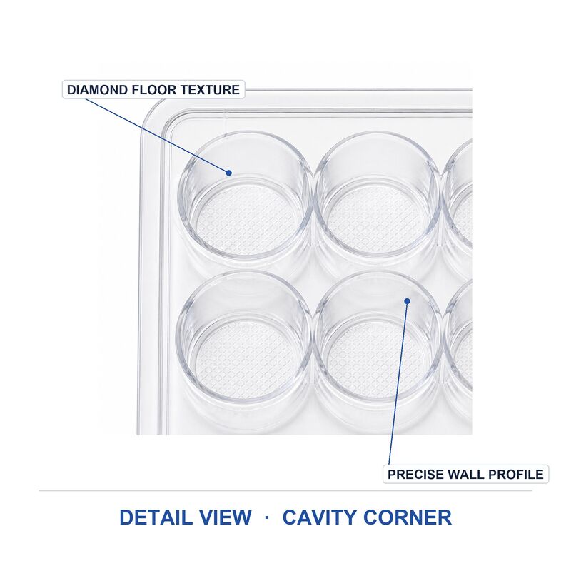 Custom Blister Packaging Plastic Box With PET Liner for Hardware Transparent Tray Manufacturer Wholesale