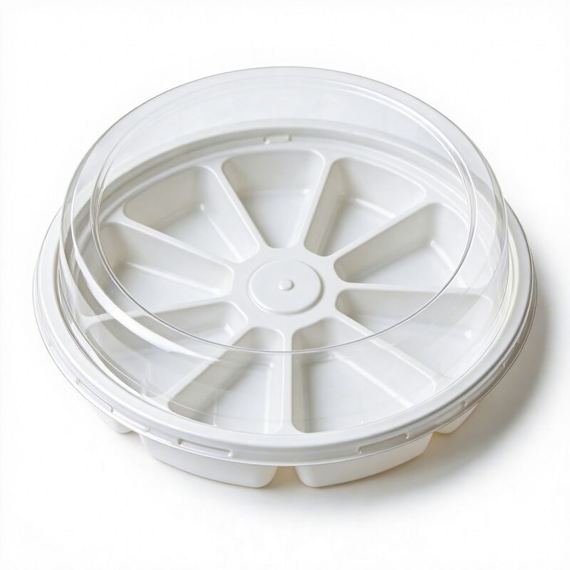 Food Grade PET Multi Compartment Blister Box With Lid Custom Size Thickness Food Divider Plastic Packaging Container