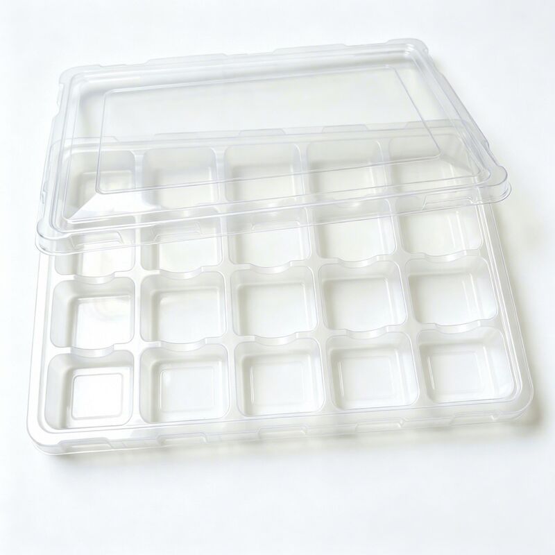 Clear Multi Cavity Food Grade Blister Box Factory Custom Compartment Structure for Candy Dried Snack Tray